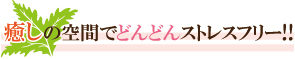 ̋ԂłǂǂXgXt[!!